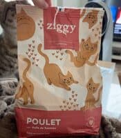Croquettes chaton